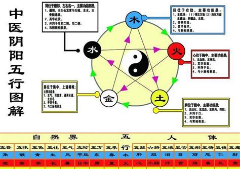 五行属土的物品|土的五特性